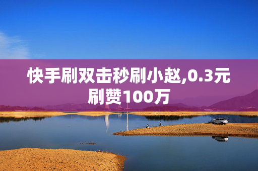 快手刷双击秒刷小赵,0.3元刷赞100万