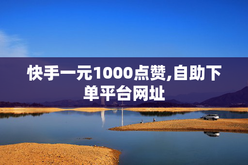 快手一元1000点赞,自助下单平台网址