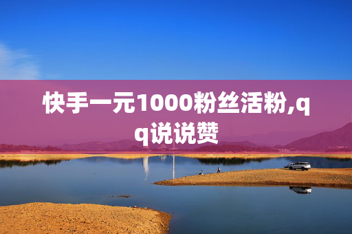 快手一元1000粉丝活粉,qq说说赞