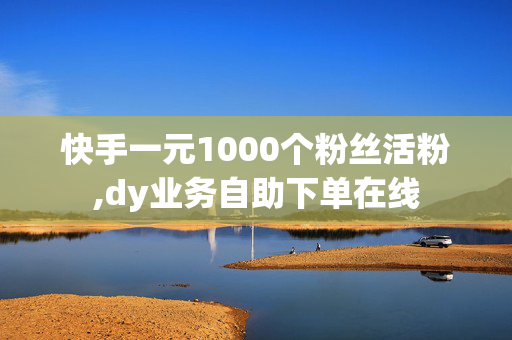 快手一元1000个粉丝活粉,dy业务自助下单在线