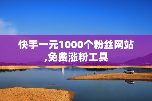 快手一元1000个粉丝网站,免费涨粉工具