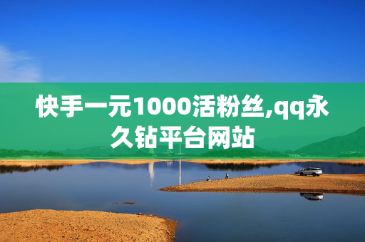 快手一元1000活粉丝,qq永久钻平台网站