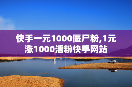 快手一元1000僵尸粉,1元涨1000活粉快手网站