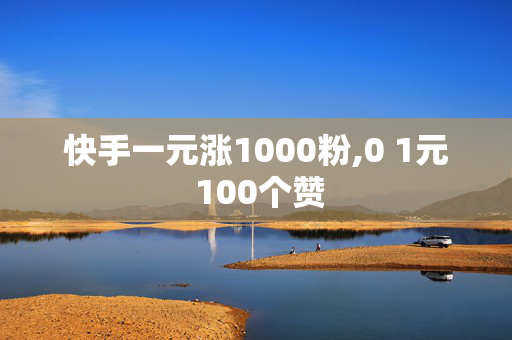 快手一元涨1000粉,0 1元 100个赞