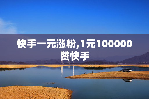 快手一元涨粉,1元100000赞快手