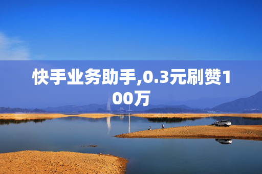 快手业务助手,0.3元刷赞100万