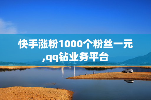 快手涨粉1000个粉丝一元,qq钻业务平台