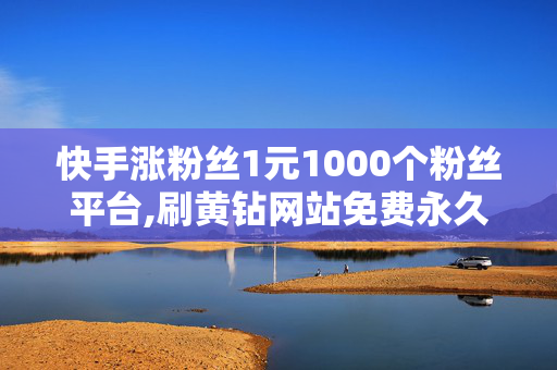 快手涨粉丝1元1000个粉丝平台,刷黄钻网站免费永久软件