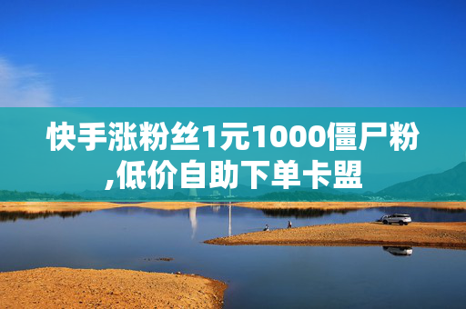 快手涨粉丝1元1000僵尸粉,低价自助下单卡盟