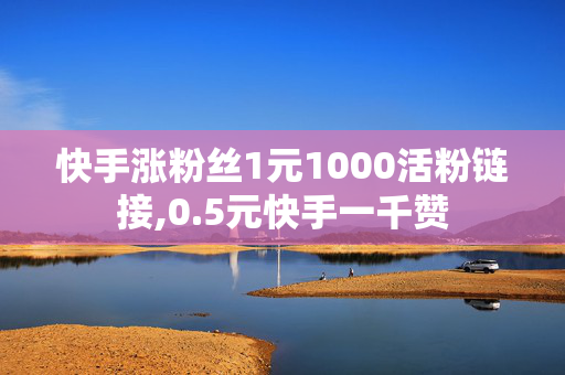 快手涨粉丝1元1000活粉链接,0.5元快手一千赞