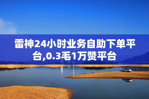 雷神24小时业务自助下单平台,0.3毛1万赞平台