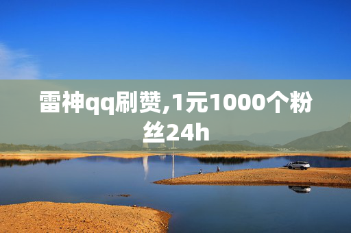 雷神qq刷赞,1元1000个粉丝24h