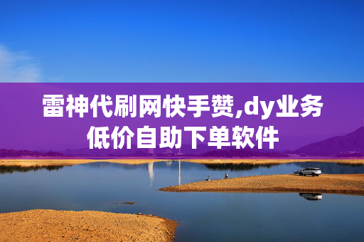 雷神代刷网快手赞,dy业务低价自助下单软件