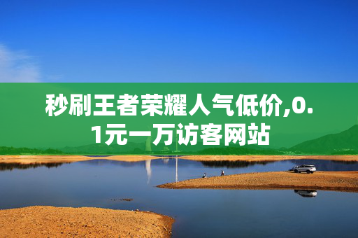 秒刷王者荣耀人气低价,0.1元一万访客网站