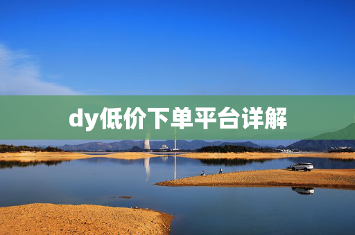 dy低价下单平台详解