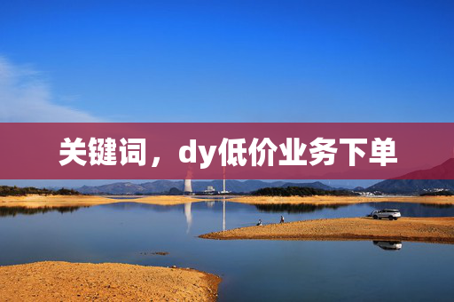 关键词，dy低价业务下单