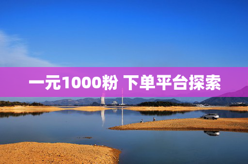 一元1000粉 下单平台探索