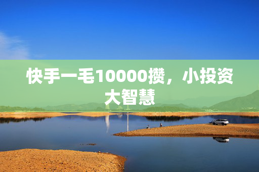 快手一毛10000攒，小投资大智慧