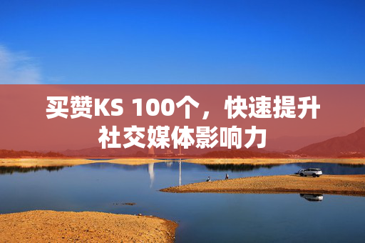 买赞KS 100个，快速提升社交媒体影响力