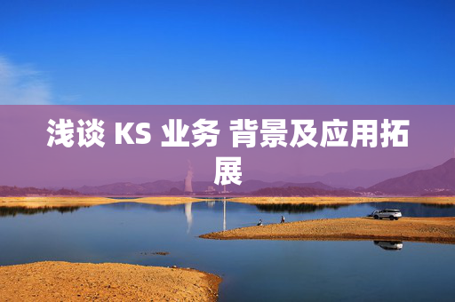 浅谈 KS 业务 背景及应用拓展