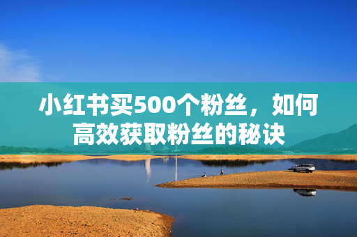 小红书买500个粉丝，如何高效获取粉丝的秘诀