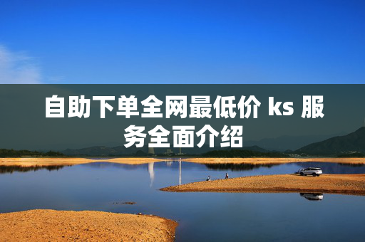 自助下单全网最低价 ks 服务全面介绍