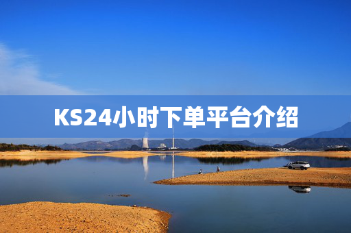 KS24小时下单平台介绍