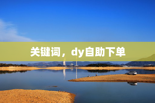 关键词，dy自助下单