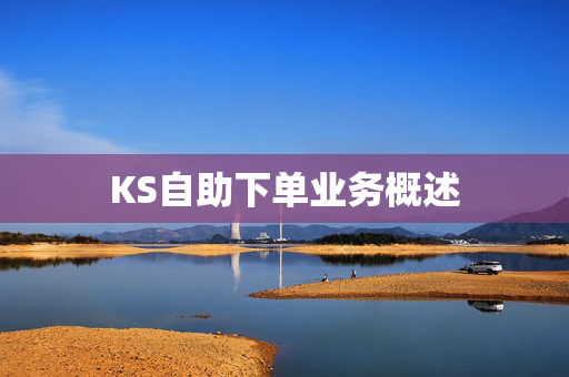 KS自助下单业务概述