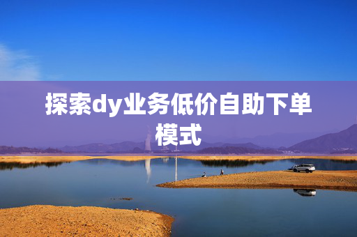 探索dy业务低价自助下单模式