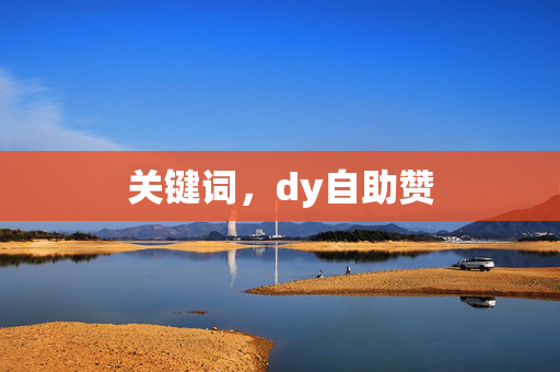 关键词，dy自助赞