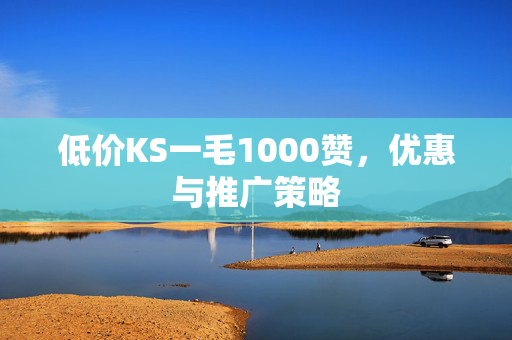 低价KS一毛1000赞，优惠与推广策略