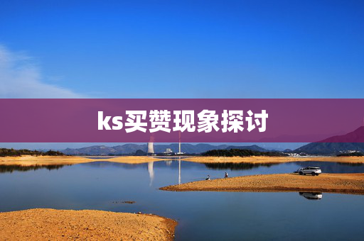 ks买赞现象探讨