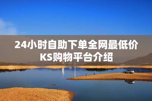 24小时自助下单全网最低价KS购物平台介绍