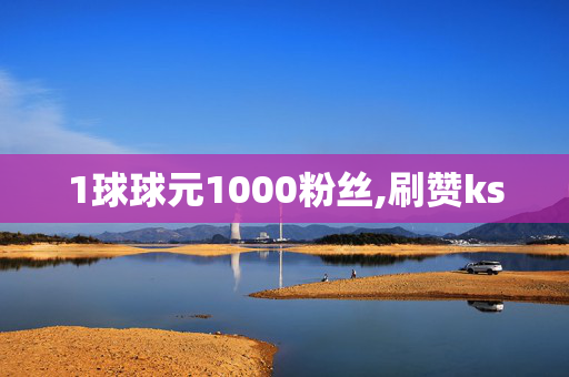 1球球元1000粉丝,刷赞ks