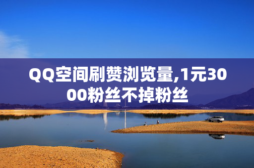 QQ空间刷赞浏览量,1元3000粉丝不掉粉丝