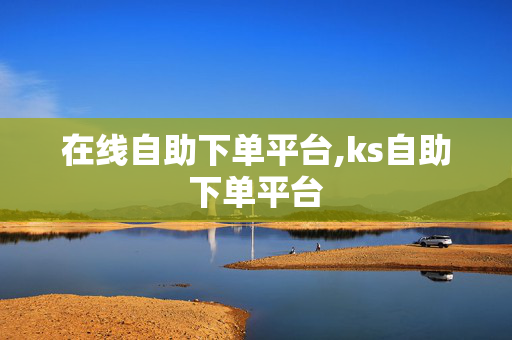 在线自助下单平台,ks自助下单平台