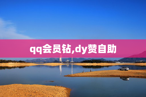 qq会员钻,dy赞自助