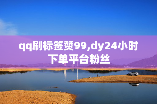 qq刷标签赞99,dy24小时下单平台粉丝