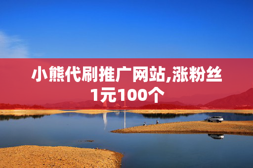 小熊代刷推广网站,涨粉丝1元100个