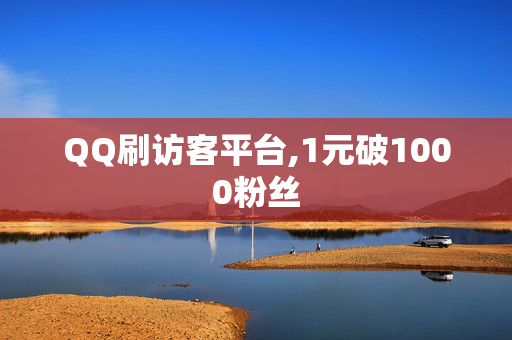 QQ刷访客平台,1元破1000粉丝