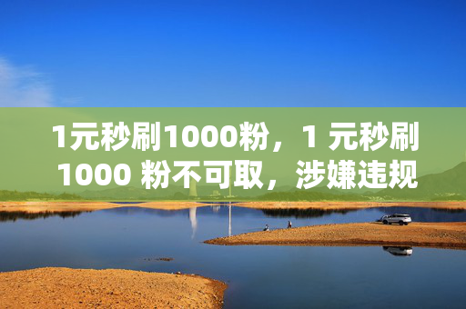 1元秒刷1000粉，1 元秒刷 1000 粉不可取，涉嫌违规