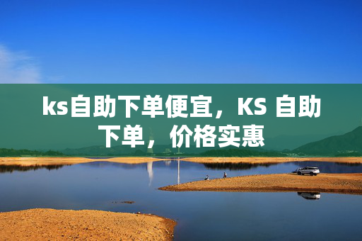 ks自助下单便宜，KS 自助下单，价格实惠