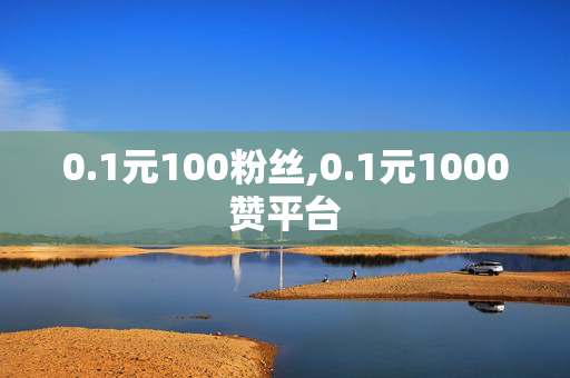 0.1元100粉丝,0.1元1000赞平台