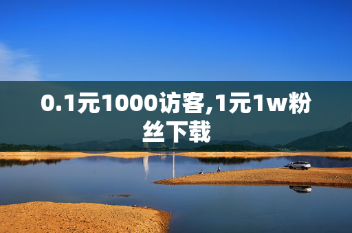 0.1元1000访客,1元1w粉丝下载