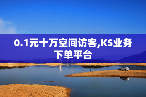 0.1元十万空间访客,KS业务下单平台