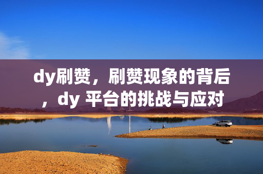 dy刷赞，刷赞现象的背后，dy 平台的挑战与应对