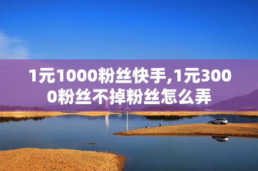 1元1000粉丝快手,1元3000粉丝不掉粉丝怎么弄