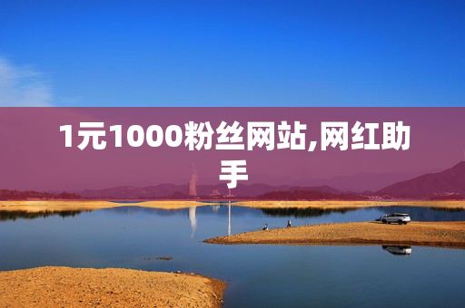 1元1000粉丝网站,网红助手