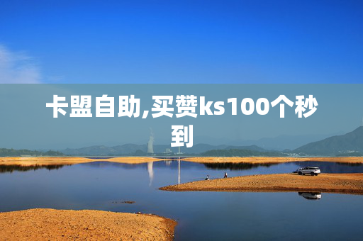 卡盟自助,买赞ks100个秒到